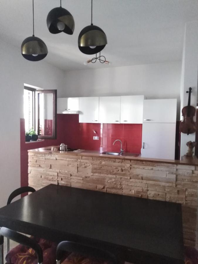 Apartman Irena With Terase End Private Parking Donji Okrug  Esterno foto